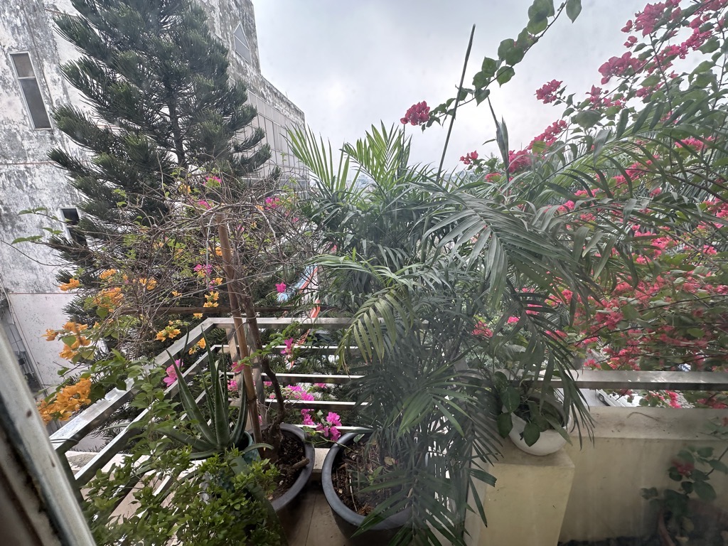 BÁN NHÀ TÂN XUÂN 10.8 TỶ