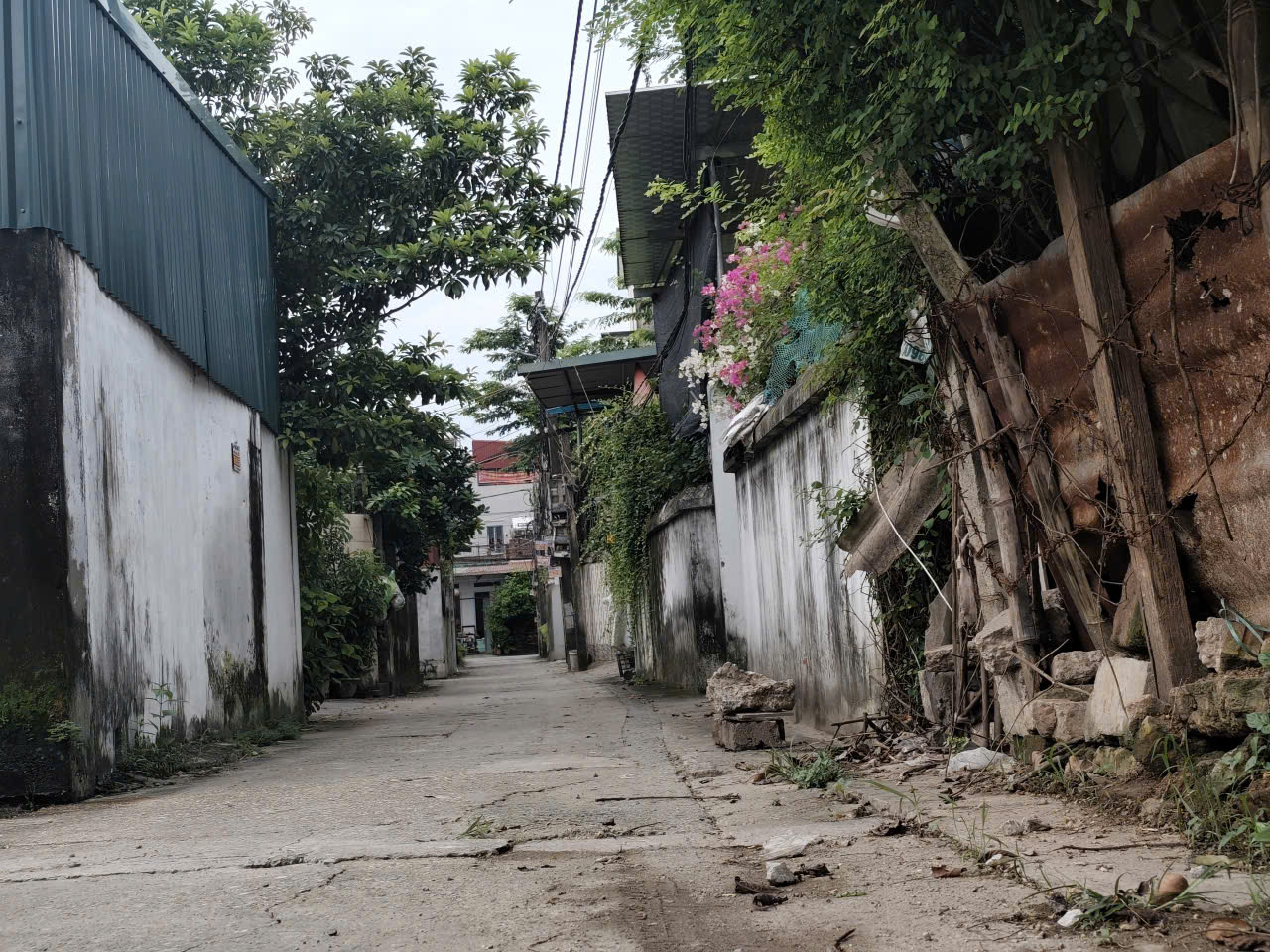 Mảnh đất ngay khu đấu giá, gần đường dẫn lên cầu tứ Liên   DT 49m   MT 5m  Đường thông xung quanh , ô tô vào tận đất.  NGay thị trấn Đông ANH