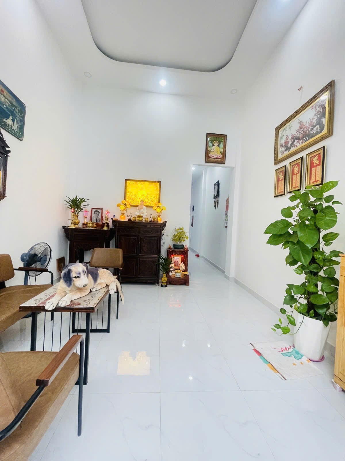 Gò Vấp 66m² (3.5/4.4x17) Sát Mặt Tiền – Giá 5.5 Tỷ
