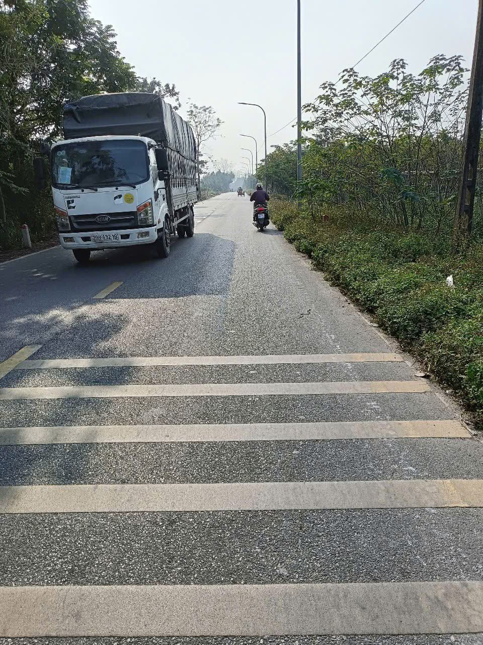 BÁN ĐẤT TRỒNG CÂY BÁM ĐƯỜNG 422 ĐẮC SỞ, HOÀI ĐỨC