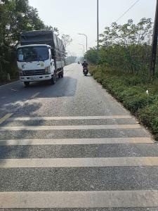 BÁN ĐẤT TRỒNG CÂY BÁM ĐƯỜNG 422 ĐẮC SỞ, HOÀI ĐỨC