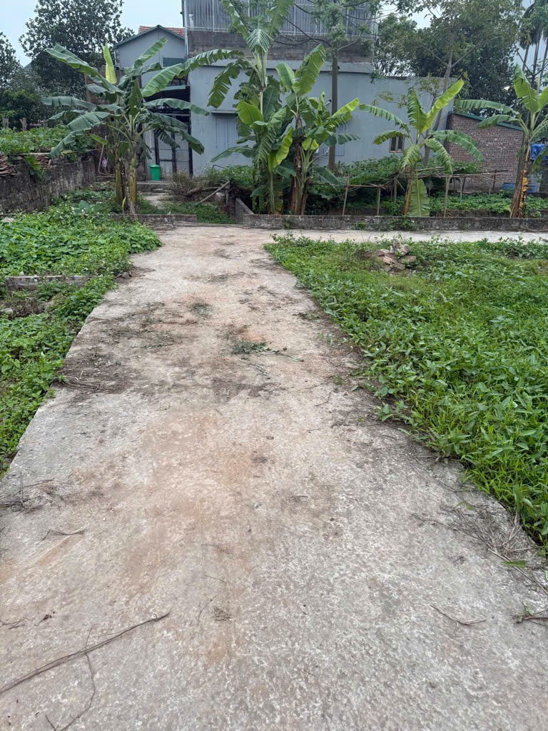 BÁN ĐẤT VẠN PHÚC-1.85 TỶ