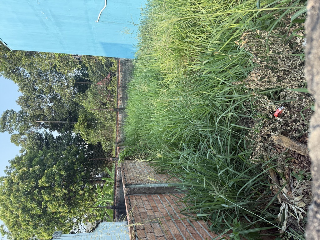 ĐẤT BÁN: LÔ ĐẤT ĐẸP, HIẾM CÒN SÓT LẠI, NGAY CẠNH TÔ NGỌC VÂN_ 96M2_ GIÁ CHỈ 5,2 TỶ