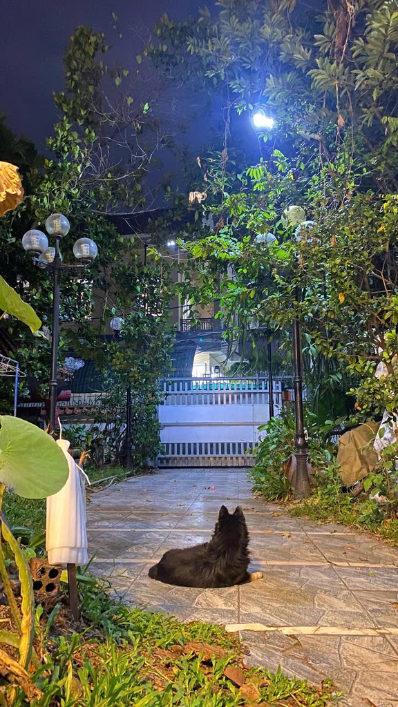 NHÀ BÁN: HXH QUỐC LỘ 13 CŨ_ NHÀ SÂN VƯỜN 294M2, 2 TẦNG_ GIÁ 13,9 TỶ