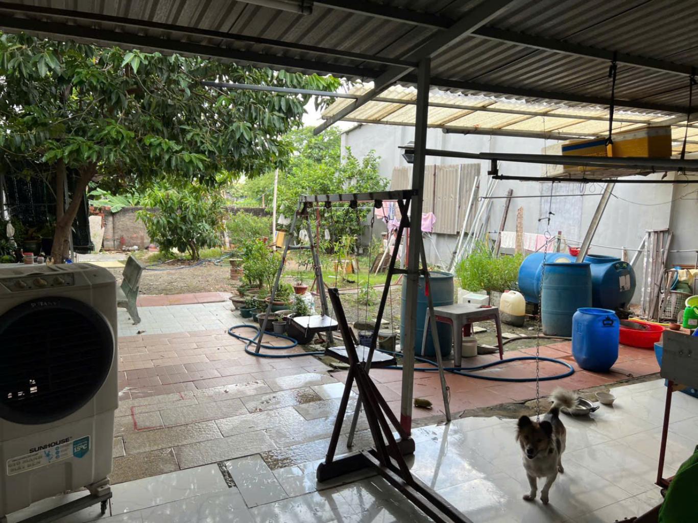 NHÀ BÁN: MẶT TIỀN ĐƯỜNG TAM CHÂU_ 251M2_ GIÁ 13,5 TỶ