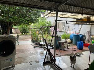 NHÀ BÁN: MẶT TIỀN ĐƯỜNG TAM CHÂU_ 251M2_ GIÁ 13,5 TỶ