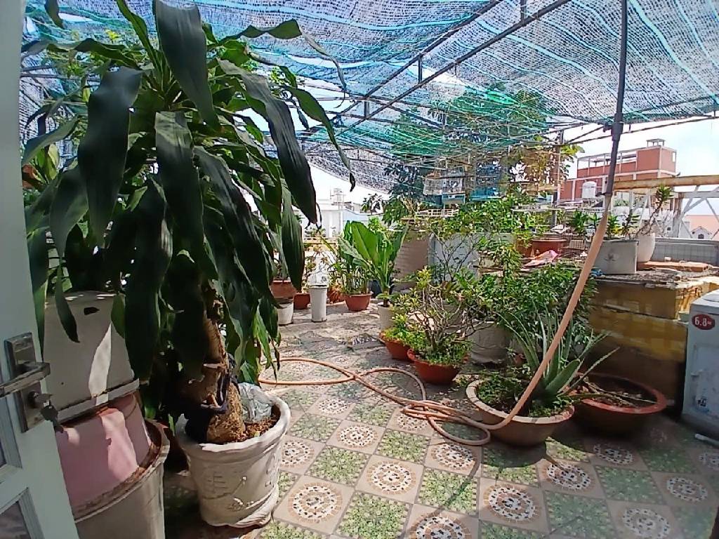 Bán nhà 4 tầng đường Trần Thị Điệu, phường Phước Long B, Quận 9, TPHCM, 97m2, nhỉnh 7 tỷ
