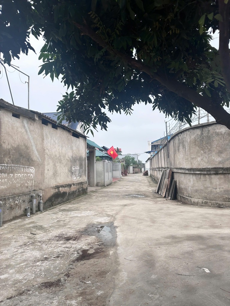 Đất đẹp đầu tư tại Thạch Lỗi , Thanh Xuân , Sóc Sơn , Hà Nội