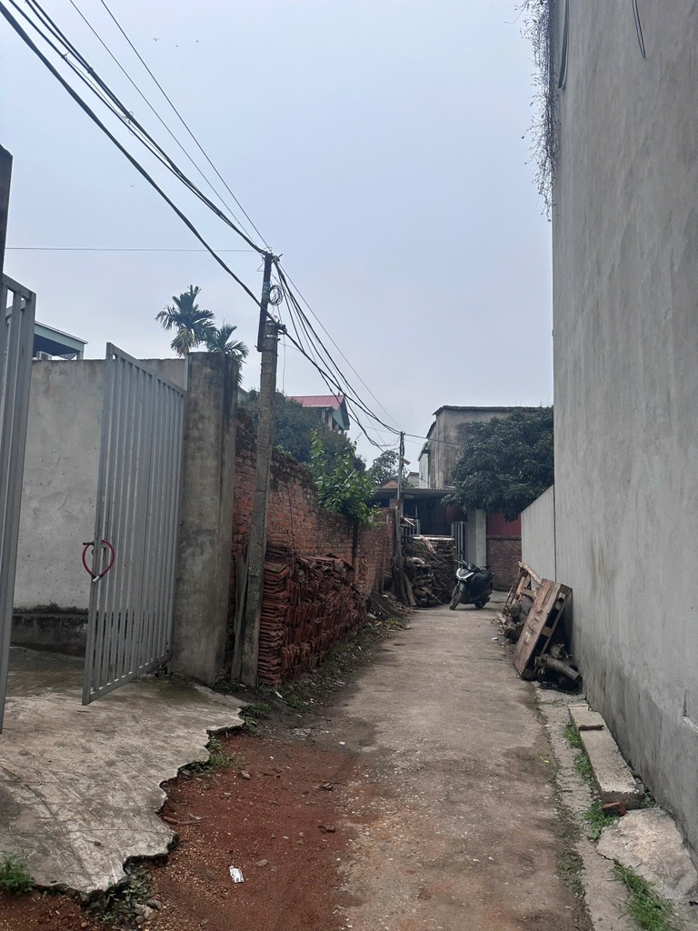 Đất đẹp đầu tư tại Thạch Lỗi , Thanh Xuân , Sóc Sơn , Hà Nội