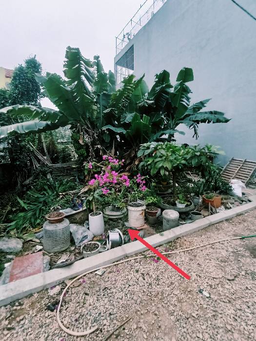 Cần bán 116m tại đa tốn gia lâm đường ô tô giá 4,6 tỷ