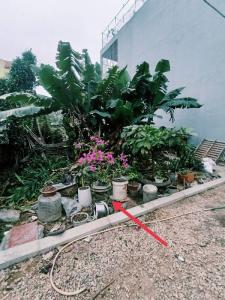 Cần bán 116m tại đa tốn gia lâm đường ô tô giá 4,6 tỷ