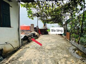 BÁN ĐẤT HẢI BỐI ĐÔNG ANH – ĐẤT VUÔNG VẮN- Ô TÔ 7 CHỖ ĐỖ CỬA