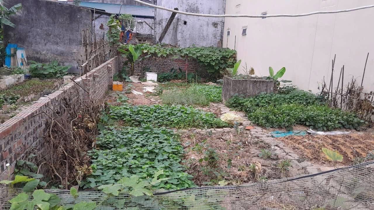 BÁN ĐẤT KIM CHUNG ĐÔNG ANH HÀ NỘI 50m2