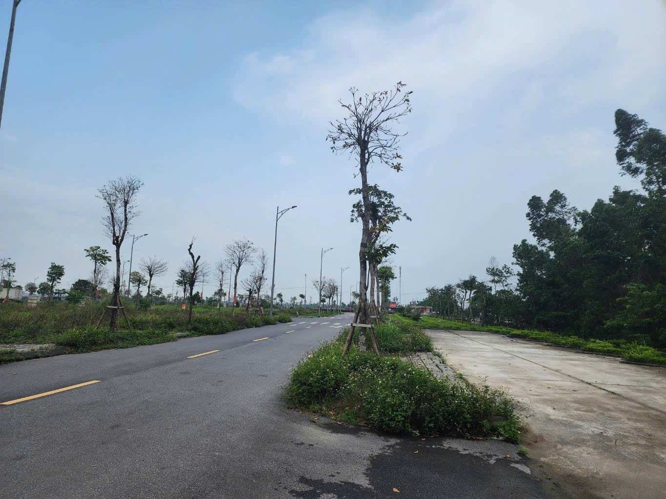133m Lô góc đấu giá Vân Hà giá 13 tỷ