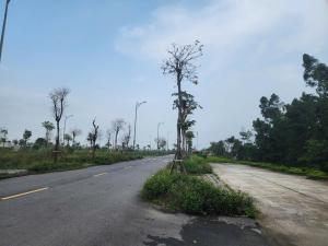 133m Lô góc đấu giá Vân Hà giá 13 tỷ