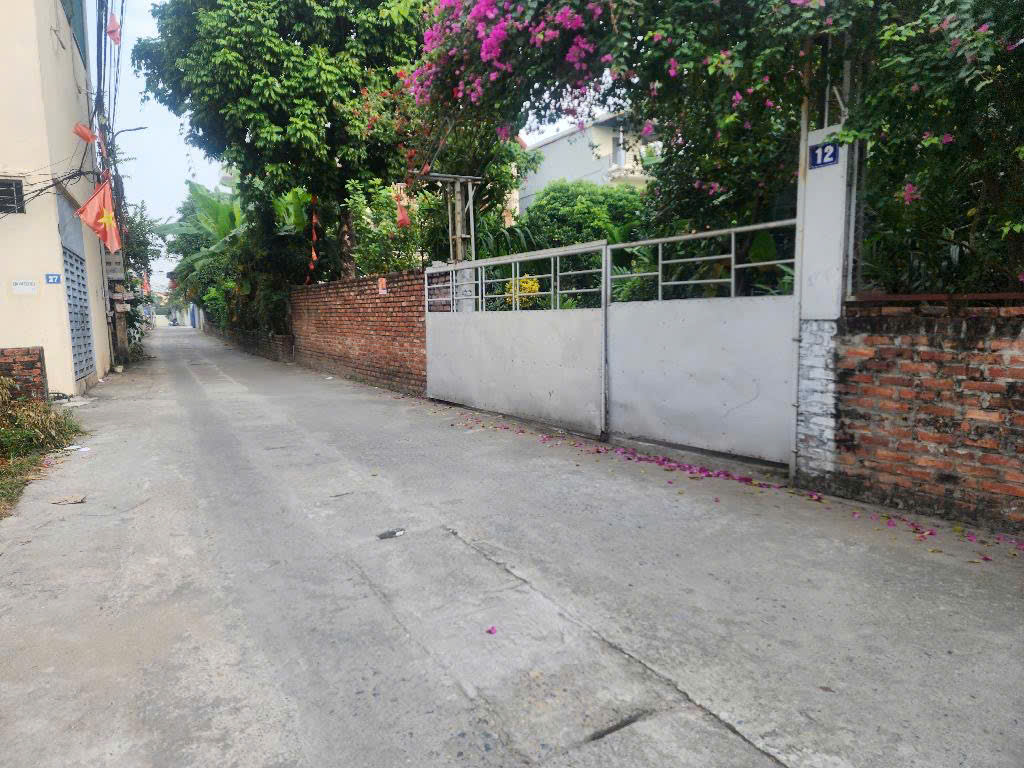 Bán đất Nam Hồng, 88m2, giá nhỉnh 4 tỷ, Gần chợ, Ô tô 7 chỗ vào nhà
