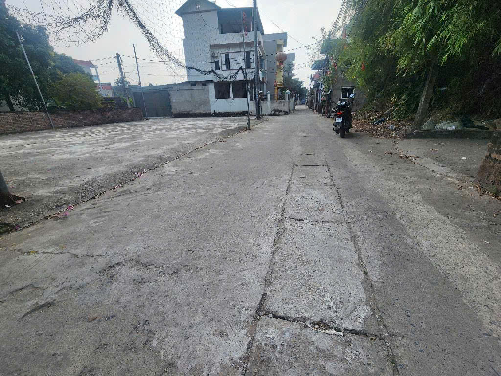Bán đất Nam Hồng, 88m2, giá nhỉnh 4 tỷ, Gần chợ, Ô tô 7 chỗ vào nhà