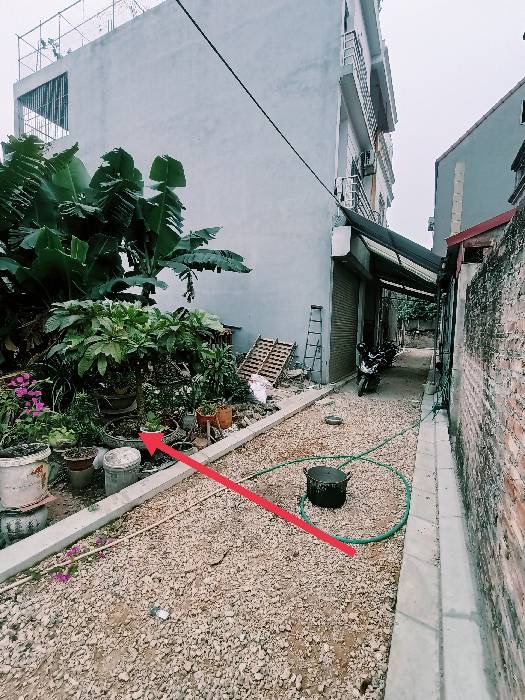 Bán đất Thuận Tốn - Đa Tốn-Gia Lâm