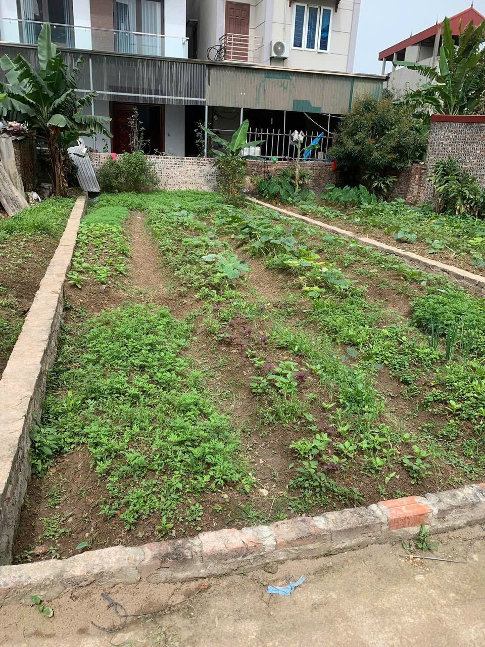 đất đẹp bìa làng thái bình, mai lâm -gần cầu đông trù, vin cổ loa, cầu tứ liên