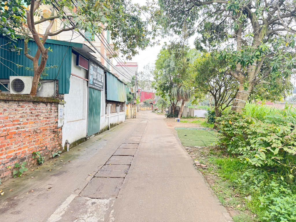 đất đẹp bìa làng thái bình, mai lâm -gần cầu đông trù, vin cổ loa, cầu tứ liên
