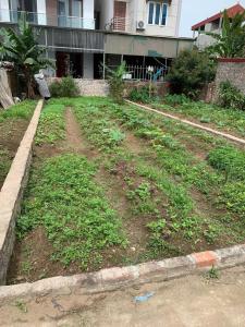 đất đẹp bìa làng thái bình, mai lâm -gần cầu đông trù, vin cổ loa, cầu tứ liên