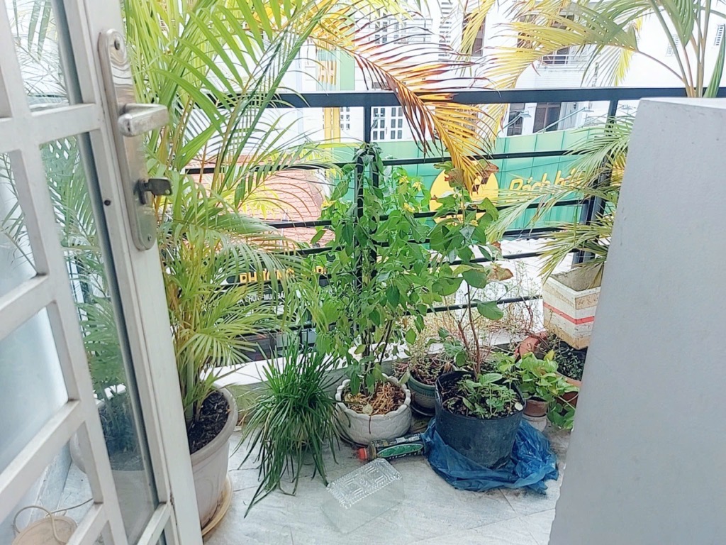 Nhà bán 2 mặt tiền chợ kinh doanh 8m Lý Thường Kiệt, Tân Bình 4 tầng đúc BTCT, 65m2, chỉ nhỉnh 10 tỷ