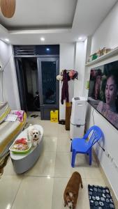 * Bán nhà Thịnh Hào - 5 Tầng - 17m2 - 3,15 Tỷ *