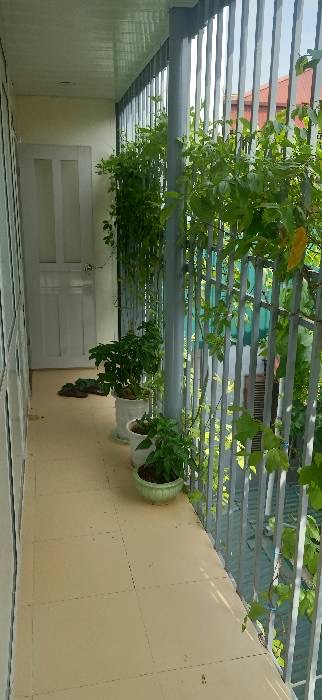 HIẾM GẦN PHỐ CỔ - TRUNG TÂM HAI BÀ TRƯNG