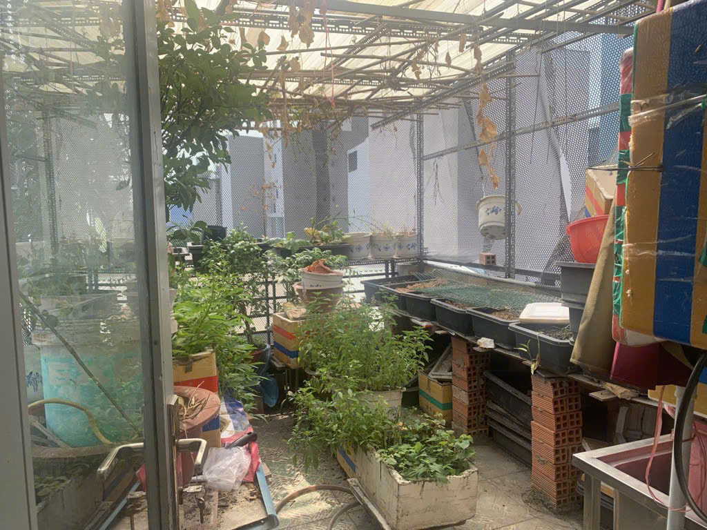 NHÀ GIÁ RẺ, TÂY THẠNH, TÂN PHÚ, DT 32m2, Giá 3,8 tỷ