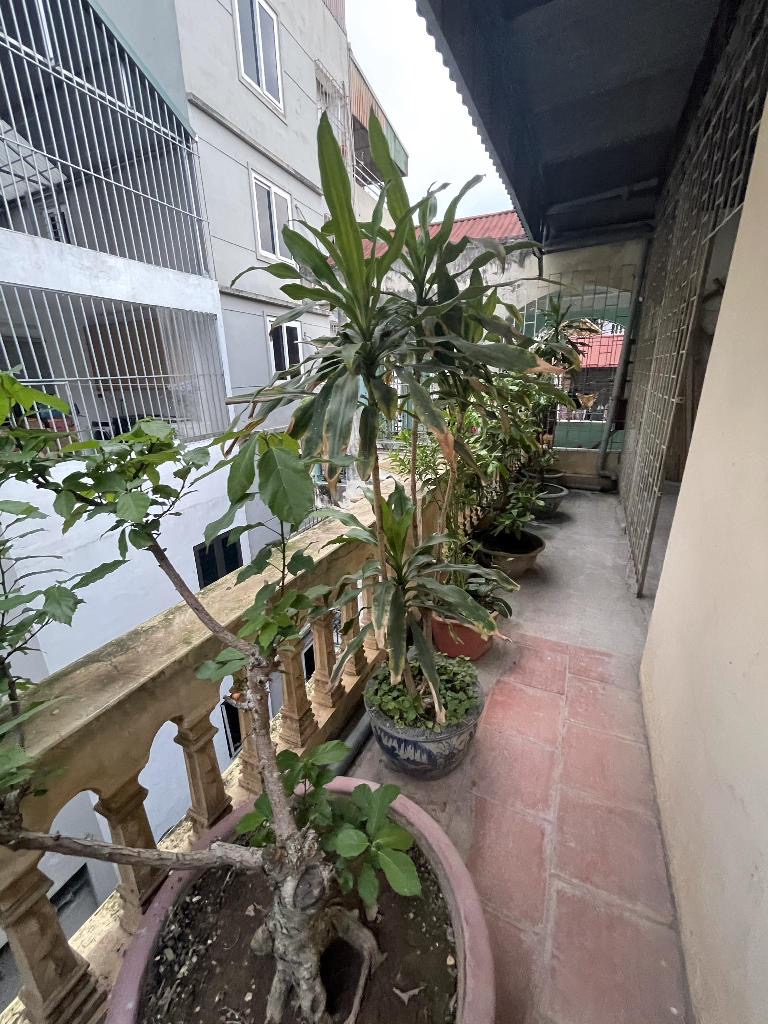 Dương Quảng Hàm, Cầu Giấy - Lô góc thoáng - Hiếm - Ở sướng - Xây CCMN đỉnh-65/83m -14,2 tỷ