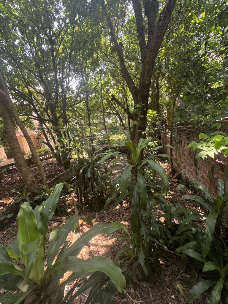 Bán đất phố Tây Mỗ 40m2, giá đầu tư 4 tỷ 450