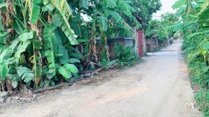 Bán đất
