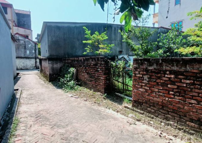 Bán đất Đường Kiêu Kỵ, Gia Lâm, Hà Nội diện tích 120m2 giá 5.6 Tỷ