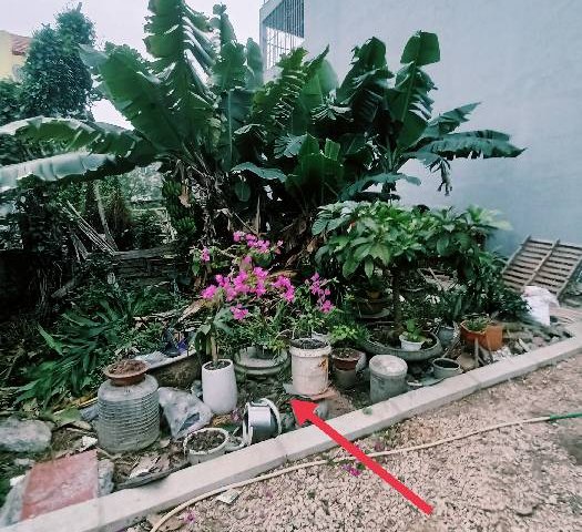 Chủ bán đất Đa Tốn - Gia Lâm cho con đi du học
