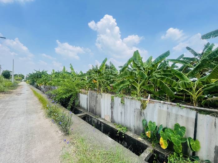 cc bán đất 160m2 lô góc, MT 50m, đường ô tô chạy thẳng