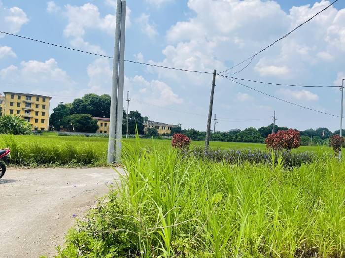 cc bán đất 160m2 lô góc, MT 50m, đường ô tô chạy thẳng