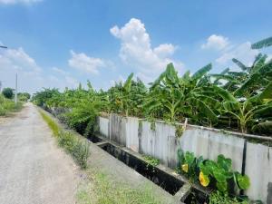 cc bán đất 160m2 lô góc, MT 50m, đường ô tô chạy thẳng