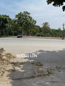 CẦN BÁN GẤP MẢNH ĐẤT ĐƯỜNG LỚN 105M2, MT: 5M, 8,3 TỶ TẠI GIA LÂM, HÀ NỘI