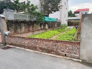 Mảnh đất đắc địa tại Thôn lễ pháp - Tiên Dương - Đông anh - Hà nội 131m2 giá chỉ 10 tỷ