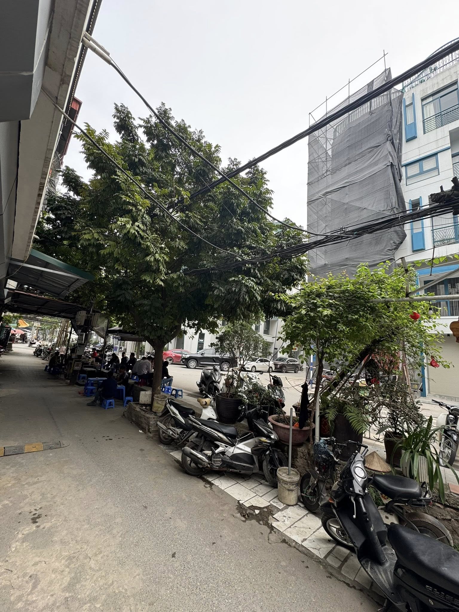Cho Thuê Cửa Hàng, Văn Phòng