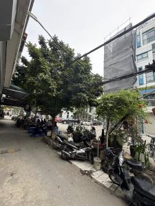 Cho Thuê Cửa Hàng, Văn Phòng