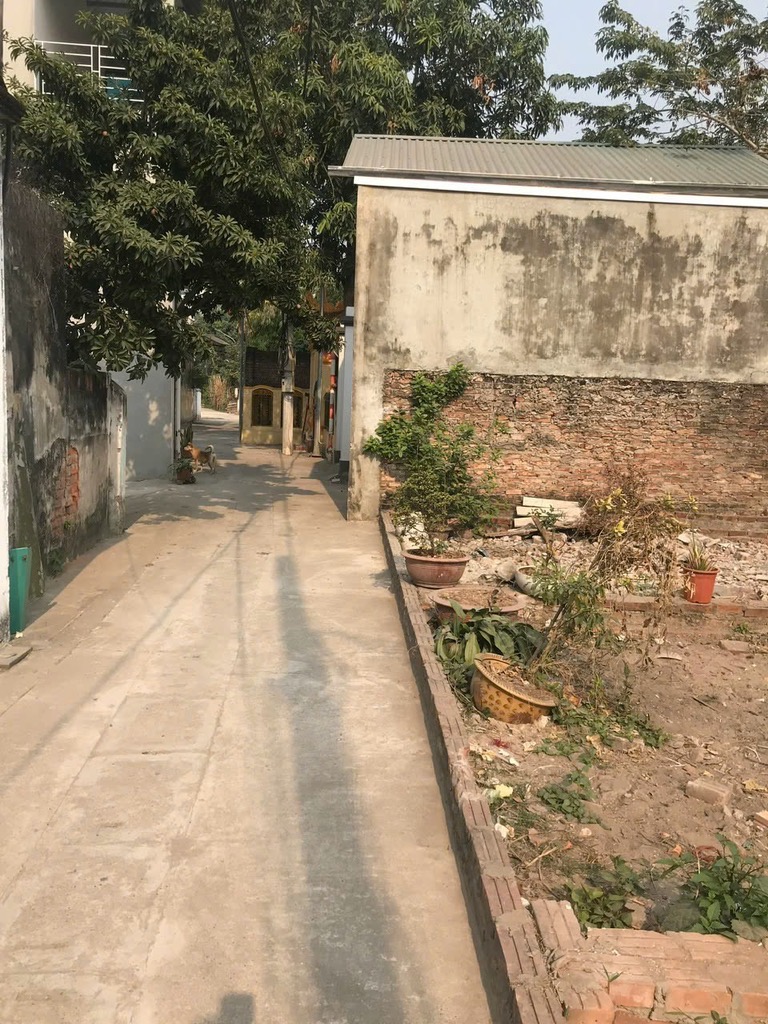CẦN BÁN ĐẤT ĐỨC THƯỢNG CỦA HOÀI ĐỨC ,47M2
