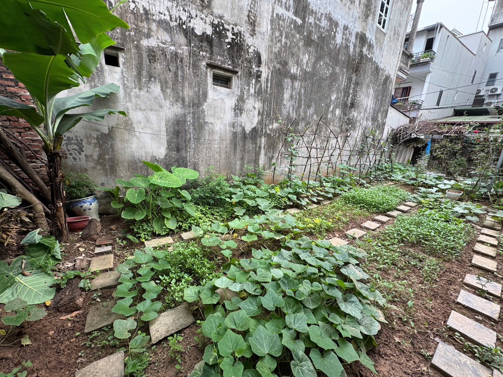 LÔ MẶT PHỐ, THÔNG Ô TÔ TRÁNH THỊ TRẤN ĐÔNG ANH, GẦN CAO ĐẲNG VIỆT HÀN, KHU CN NGUYÊN KHÊ, GIÁ TỐT.
