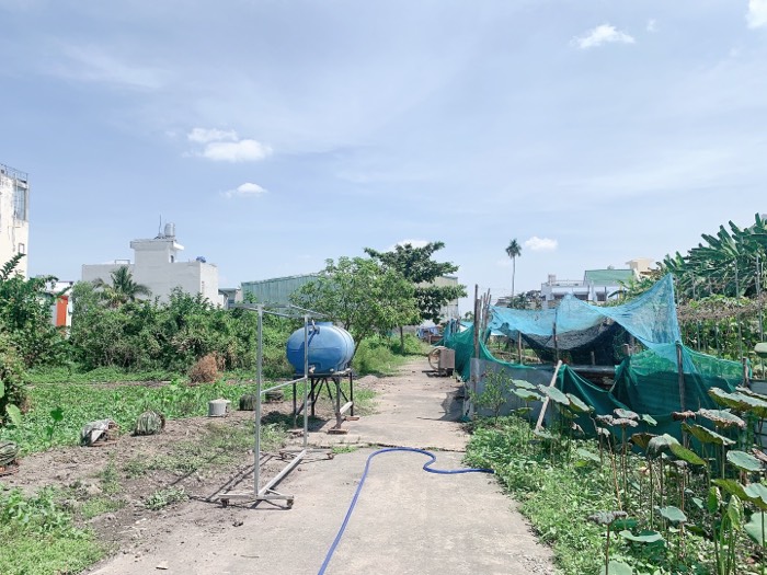 THẠNH LỘC - Q 12 -  MẶT HẺM XE HƠI- 5x17.7 VUÔNG - CHỈ 3 TỶ