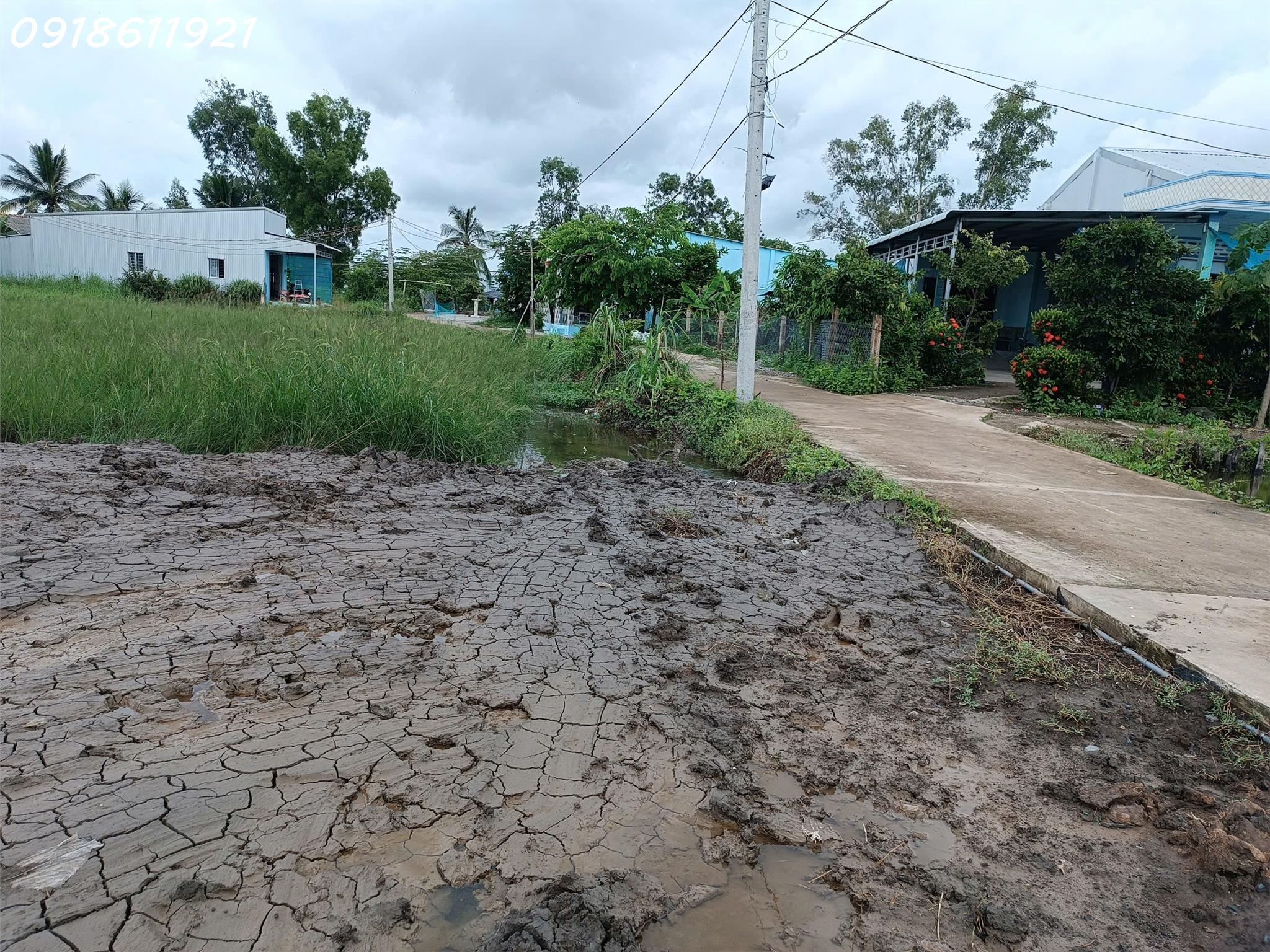 Bán đất thổ cư 120m2, Thanh Vĩnh Đông, Châu Thành, Long An - 400 triệu