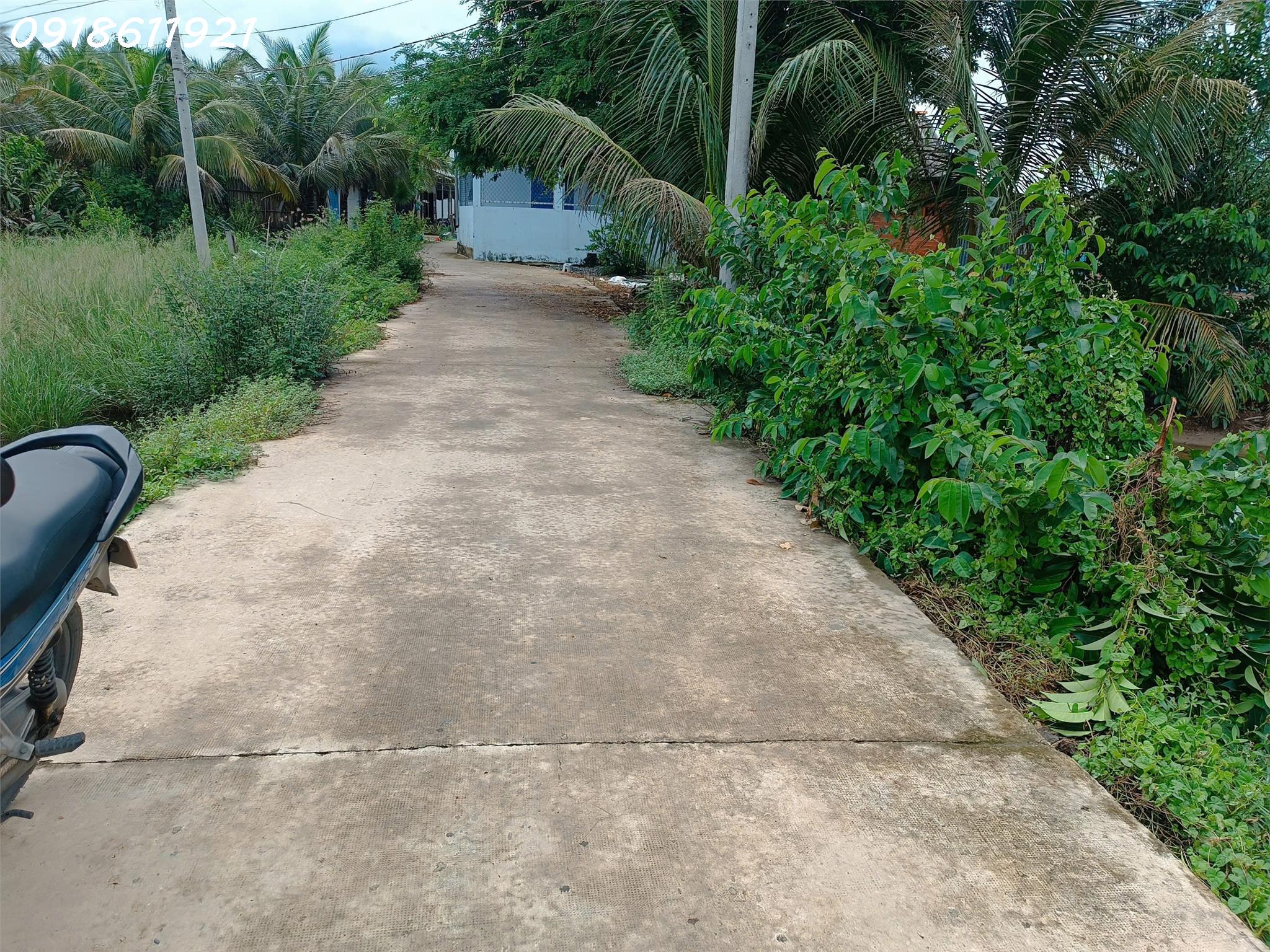 Bán đất thổ cư 120m2, Thanh Vĩnh Đông, Châu Thành, Long An - 400 triệu