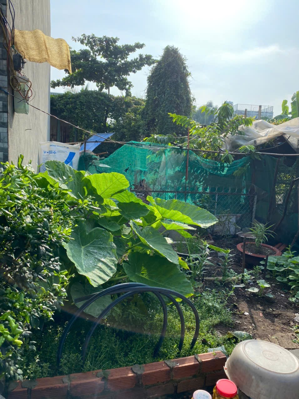 Bán 70m2 đất full thổ cư, Nguyêmx Duy Trinh, Quận 9 giá 3,05 tỷ