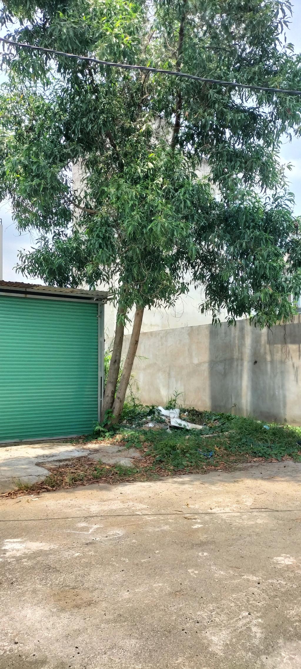 Đất 62m2 Bưng ông thoàn Phú hữu Thủ đức Hcm
