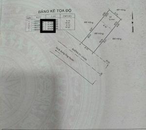 Đất ngộp đường Bưng Ông Thoàn, Phú Hữu, Quận 9 cũ