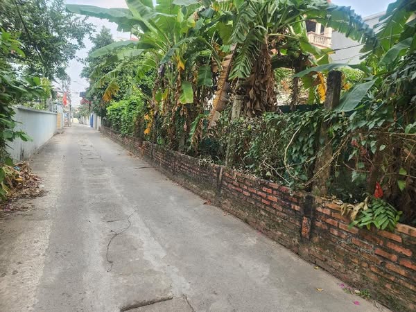 Bán đất Nam Hồng 86,5m oto vào đất được